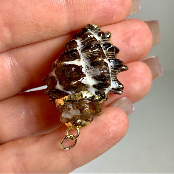 ⭐️ Gold Plated Shell ⭐️ - Picture 5 of 8